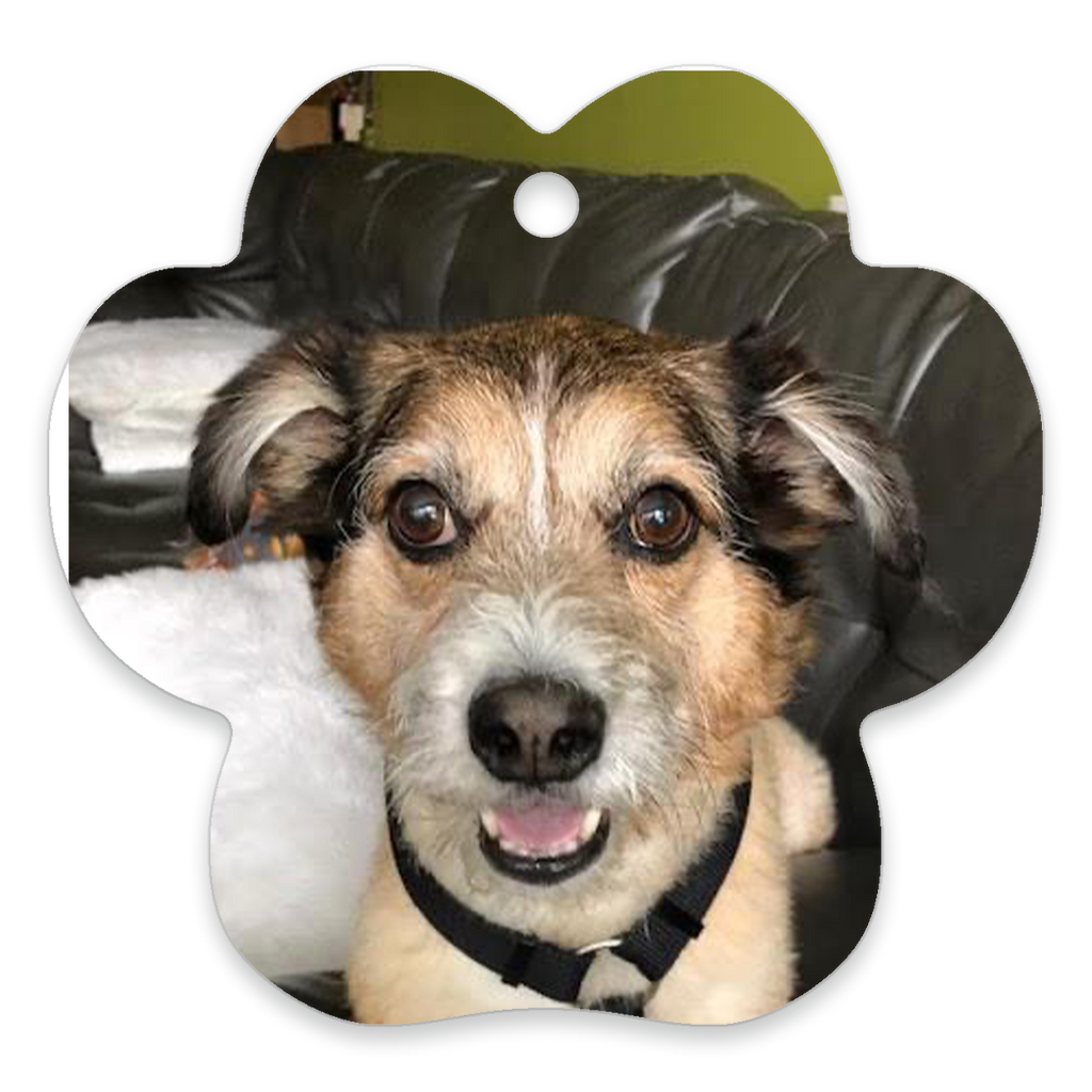 Dog Paw Metal Ornament